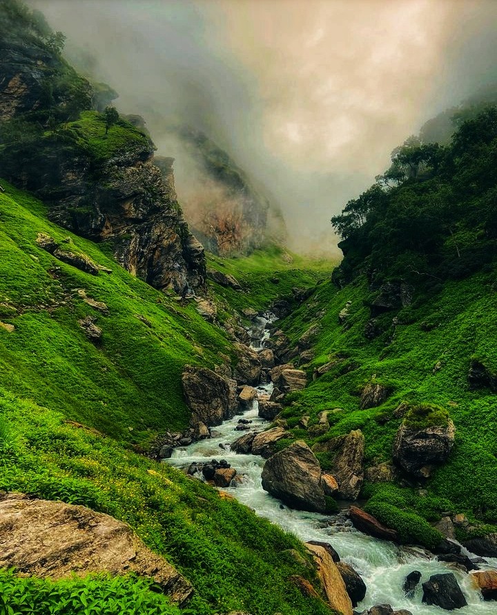 Navigate Through the Picturesque Landscapes of Monsoon Treks in India